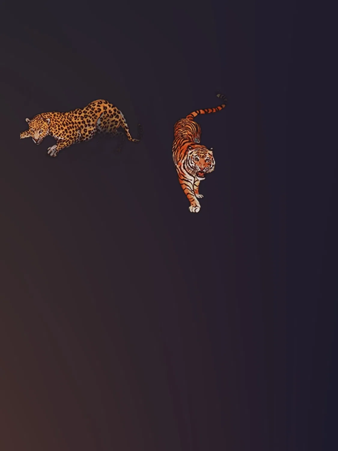 Футболка 'Walkiddy - Tigers and Leopards T-Shirt' Walkiddy, Navy — фото 2