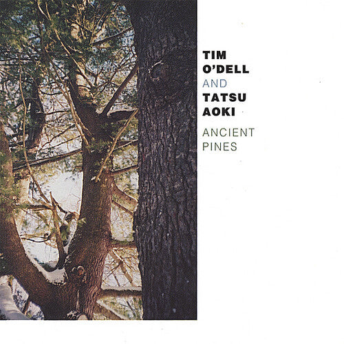 

CD диск O'Dell/Aoki: Ancient Pines