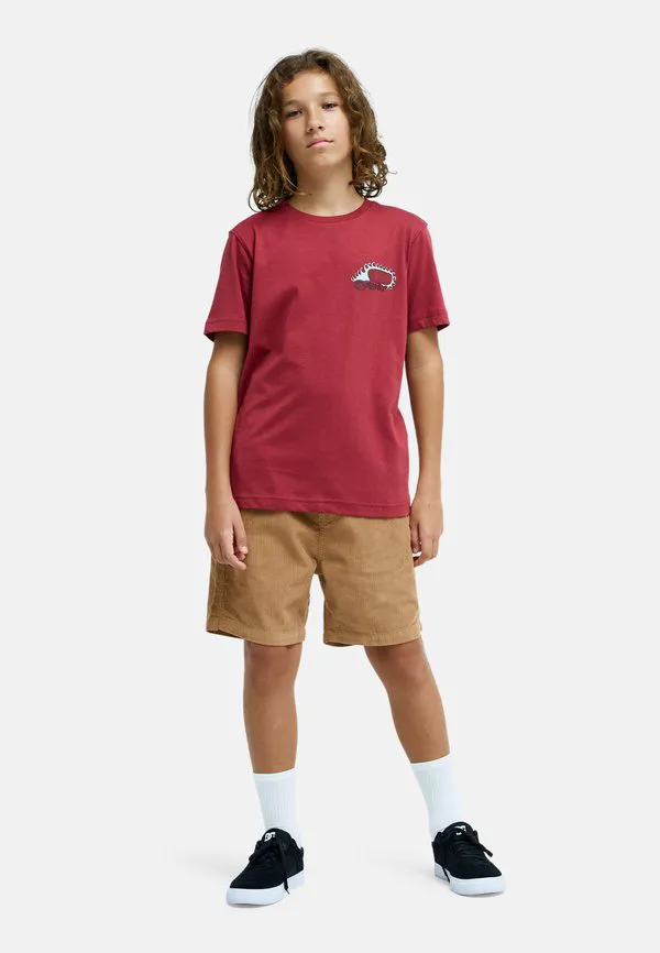 Футболка с принтом "катание на скелете" Quiksilver, Rqz