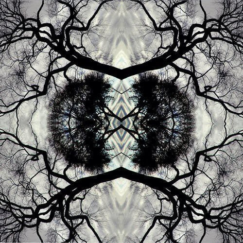 

Виниловая пластинка Rudolph, Adam: Sonic Mandala Go: Organic Orchestra