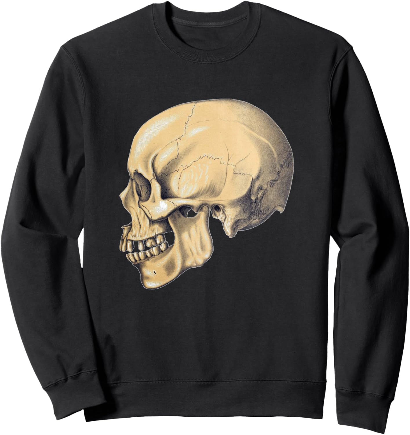 

Анатомия черепа. Винтажная новелла. Антикварная толстовка с изображением человеческой кости и медицинских терминов Retro Vintage Movie Posters Prints Ads, черный