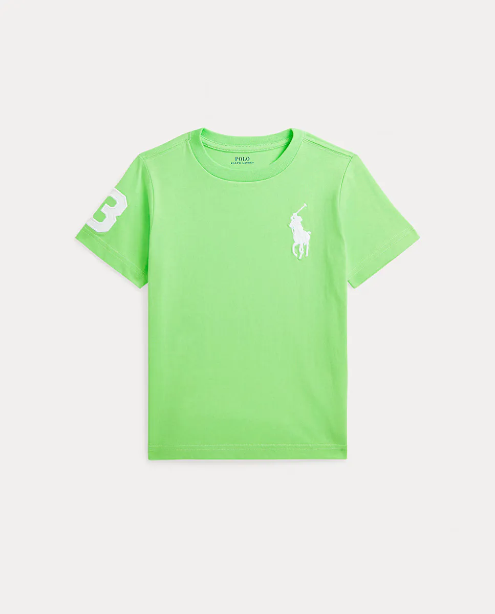 

Футболка из хлопка для мальчика с Большим Пони Polo Ralph Lauren, зеленый