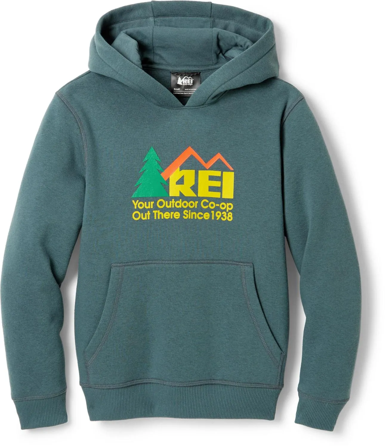 

Худи с логотипом в стиле 90-х, для детей REI Co-op, 90s Logo/Stone Blue