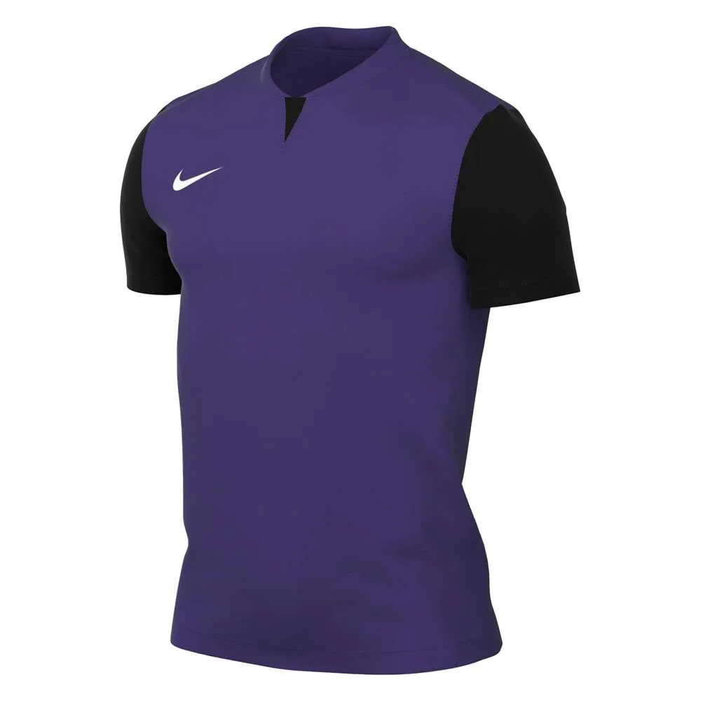 

Футболка Nike Trophy V DRi-Fit 0933, фиолетовый