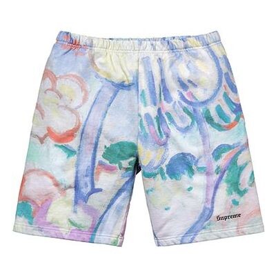 

Шорты ss18 landscape sweatshort multicolor Supreme, мультиколор