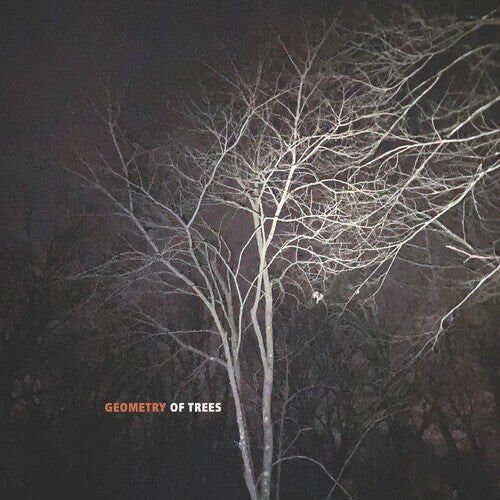 

CD диск Reid, Tomeka: Geometry Of Trees