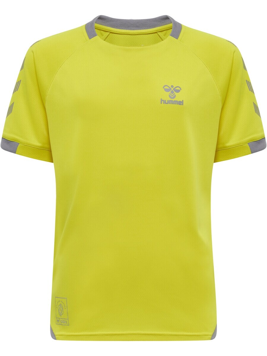 

Спортивная футболка Hummel Performance GG12, желтый