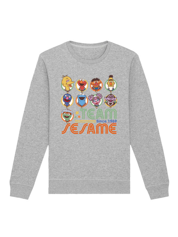 

Толстовка F4NT4STIC Sweatshirt Sesamstraße Team Since 1969, пятнистый серый