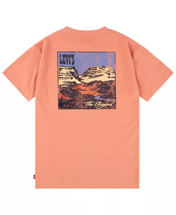 

Футболка Big Boys Canyon Landscape Levi's