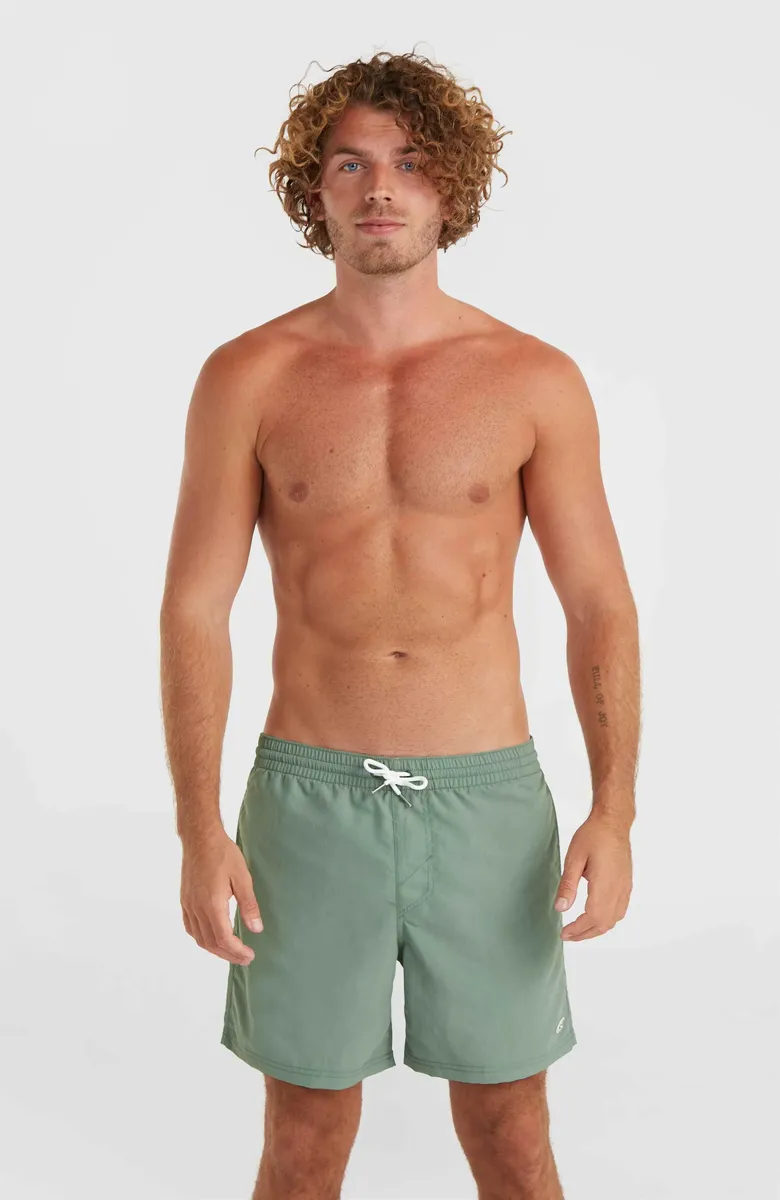 

Шорты для плавания O'Neill "VERT 16'' SWIM SHORTS", с кулиской, цвет Lily Pad