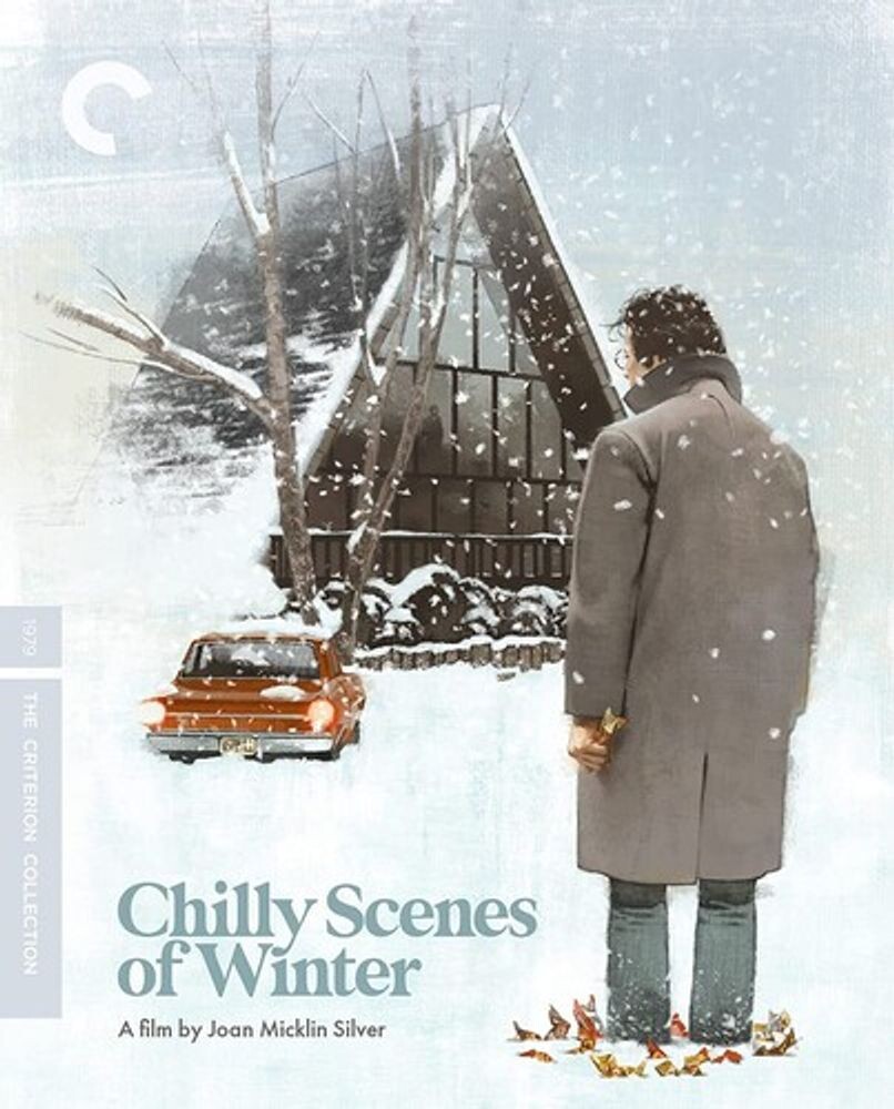 

Диск Blu-ray Chilly Scenes Of Winter [Criterion]