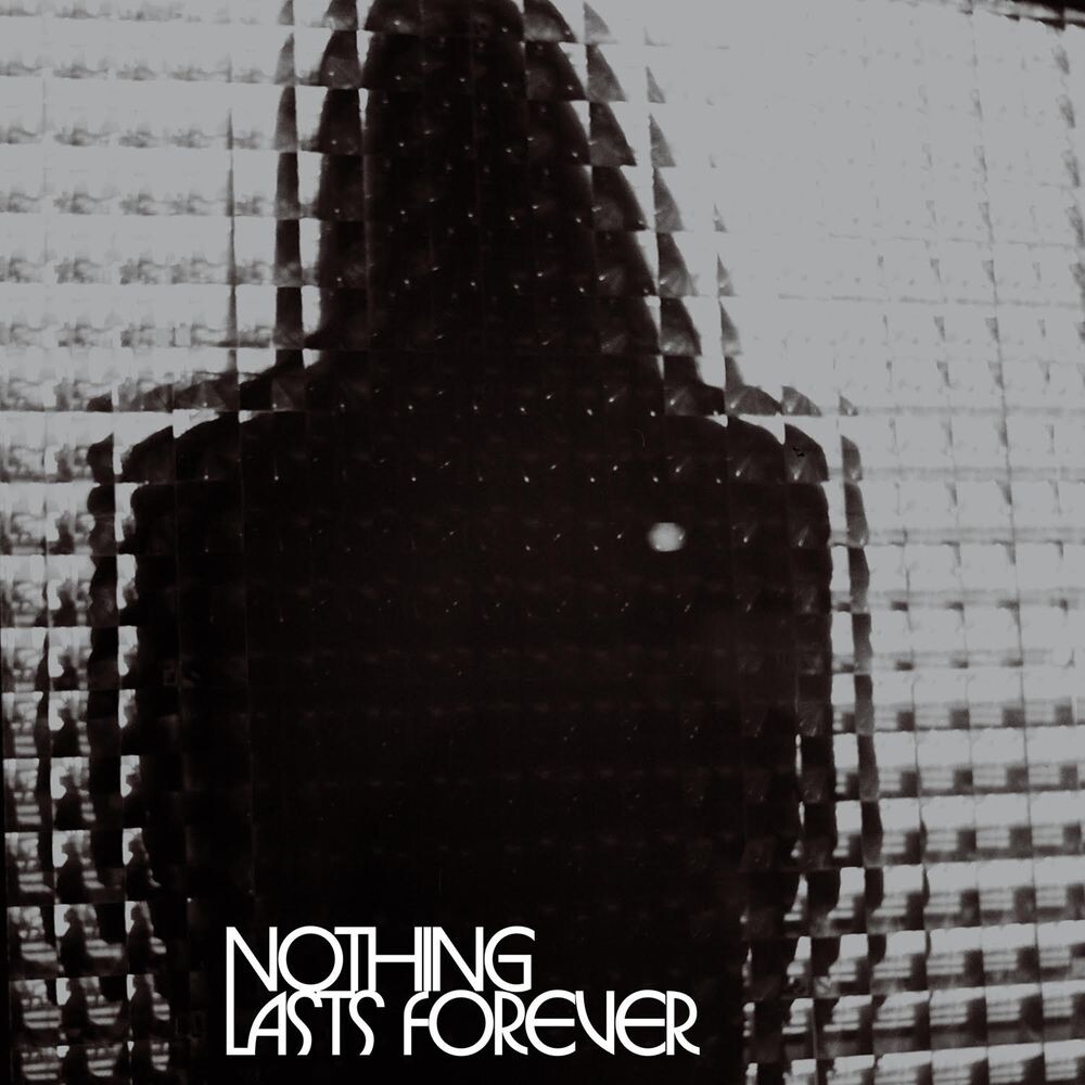 

Виниловая пластинка LP Nothing Lasts Forever [Silver & Black Vinyl] - Teenage Fanclub