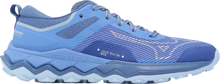 

Кроссовки Wmns Wave Ibuki 4 GORE-TEX 'Marina', синий