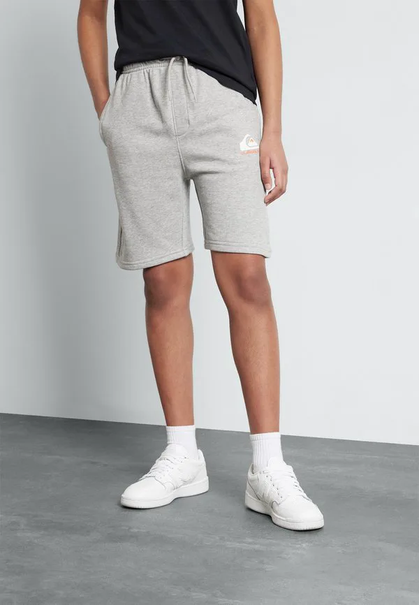 Easydajogshorty bga спортивные шорты Quiksilver, Light Grey Heather