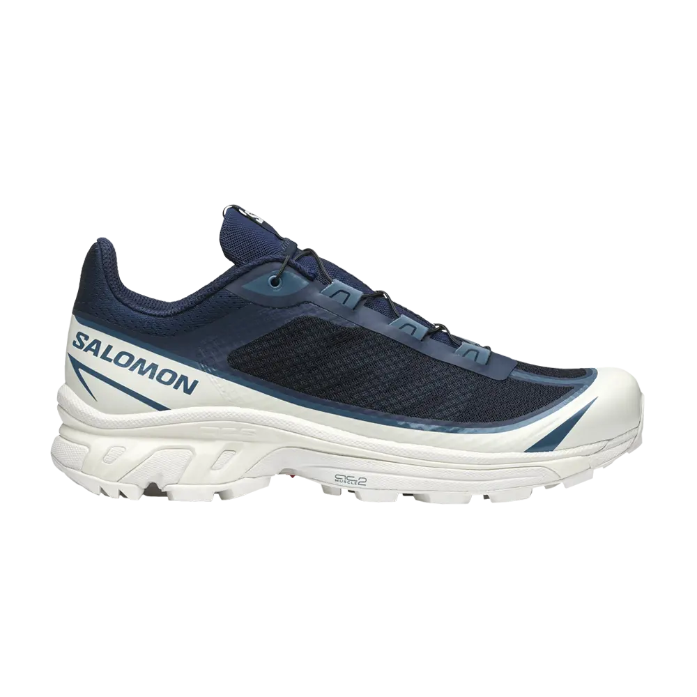 Кроссовки XT-6 FT Salomon, синий