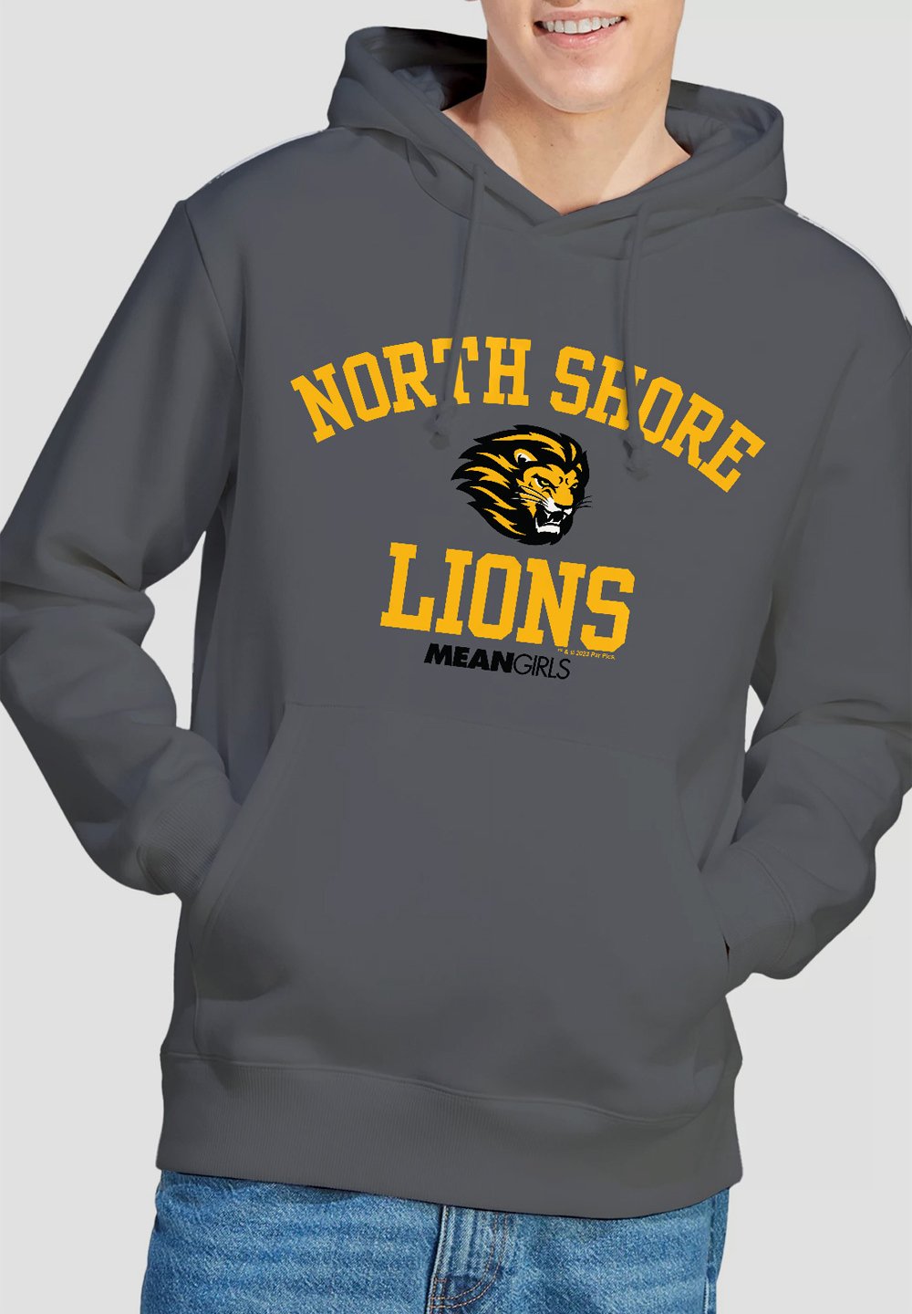 

Толстовка MEAN NORTH SHORE LIONS Cotton Soul, антрацит
