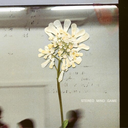 

CD диск Daughter: Stereo Mind Game