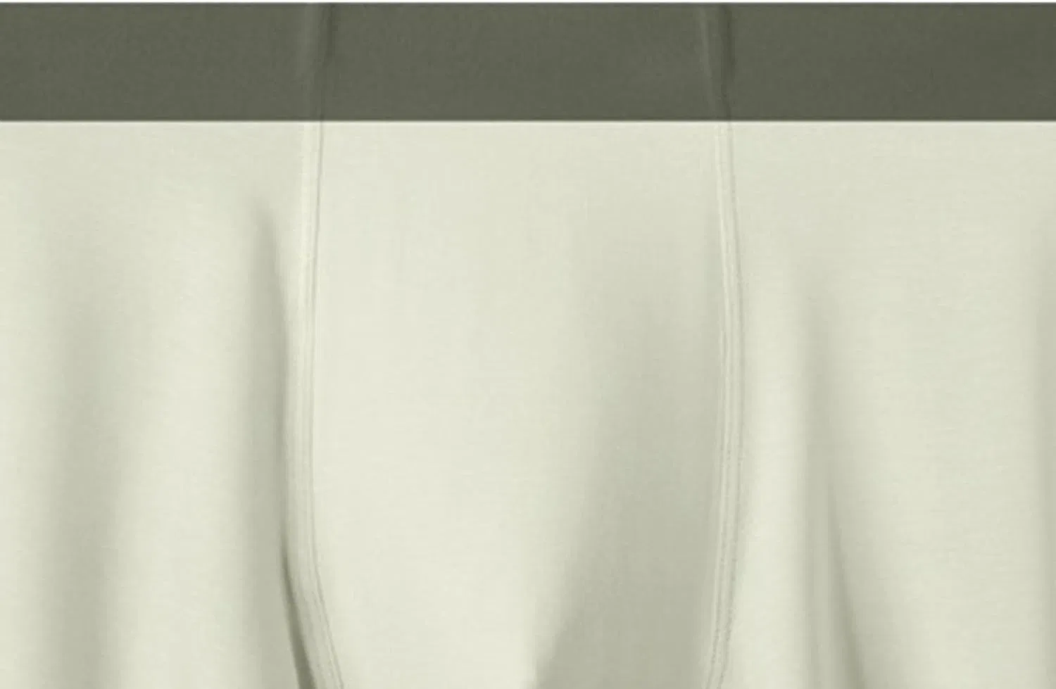 Боксеры Briefs Micro Modal Comfortable Cool, зеленый — фото 2
