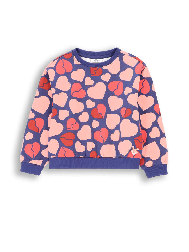 

Толстовка Coccodrillo Sweatshirt, красочный