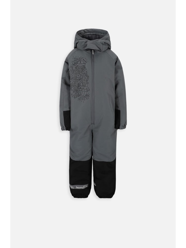 

Лыжные брюки Lemon explore, серый