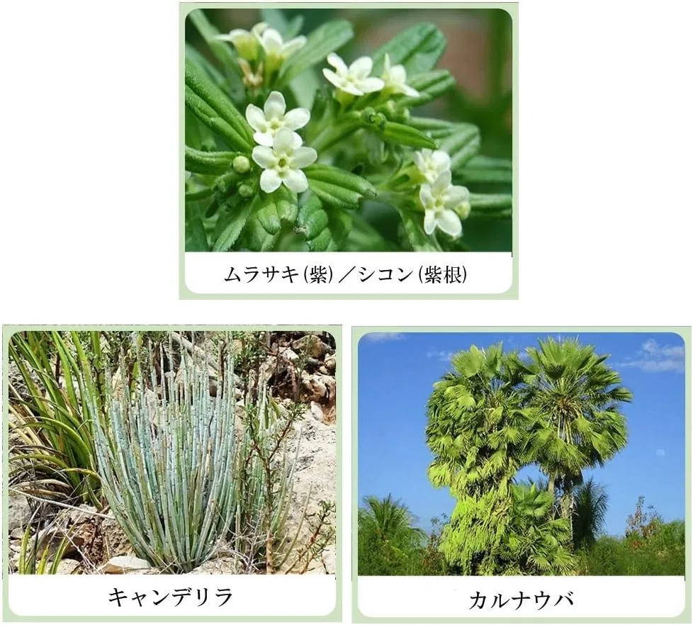 Бальзам для губ Herbal Treatment Lip с экстрактом цикория, фиолетовый Biken Chinese Medicine Research Institute