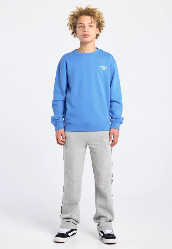 Спортивные штаны America Today, Grey