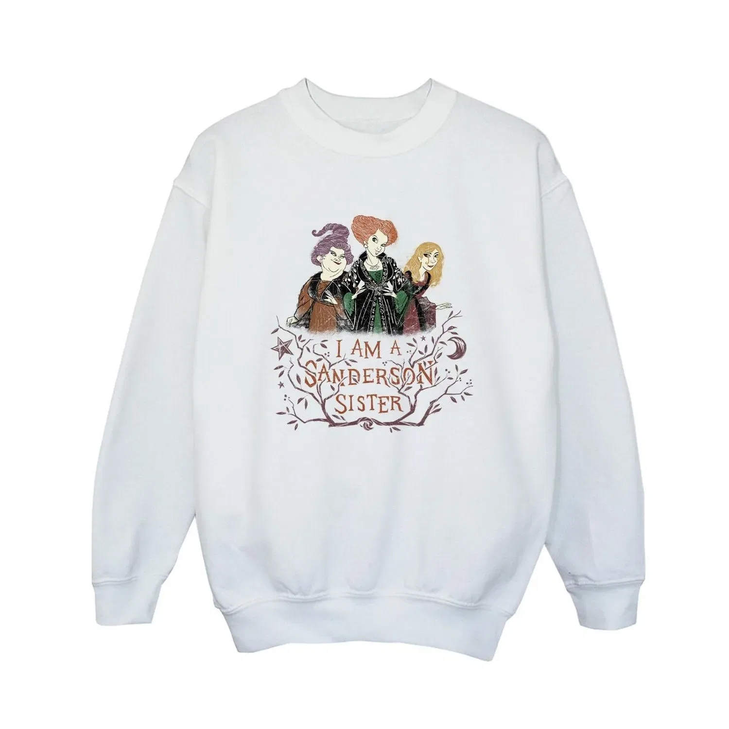 Худи Hocus Pocus Sanderson Sisters Disney, белый — фото 2