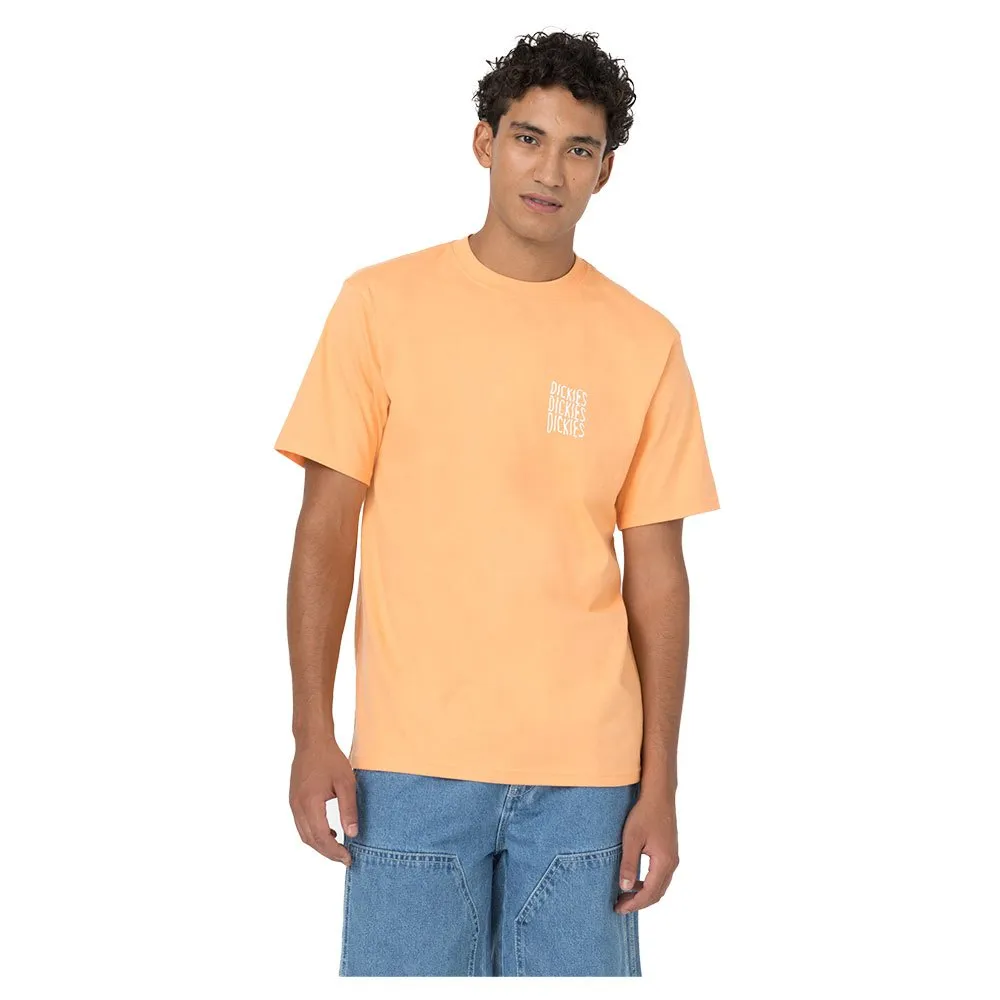 

Футболка с коротким рукавом Dickies Creswell, оранжевый