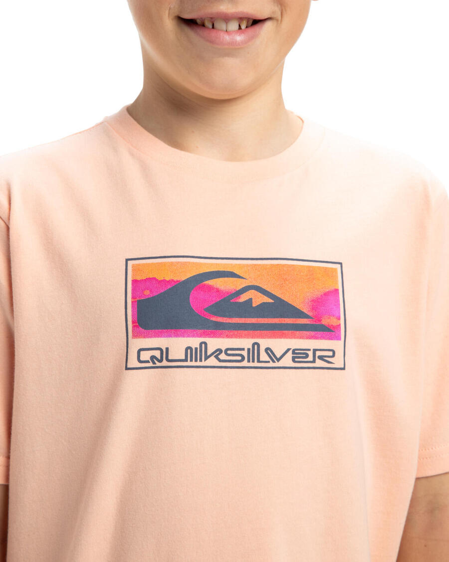 QUIKSILVER Футболка EV GRADIENT BOX розовая для мальчиков — фото 4