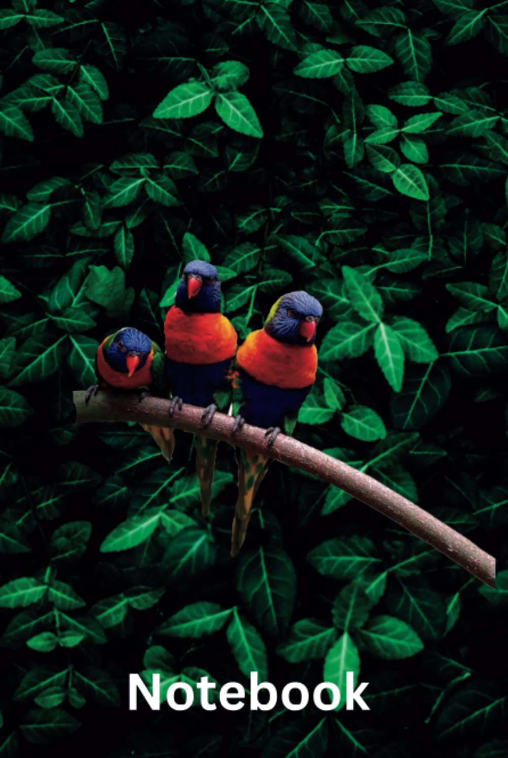 

Birds Notebook: Colorful Bird Notebook, 6x9 inches, 120 lined pages (Independently published)