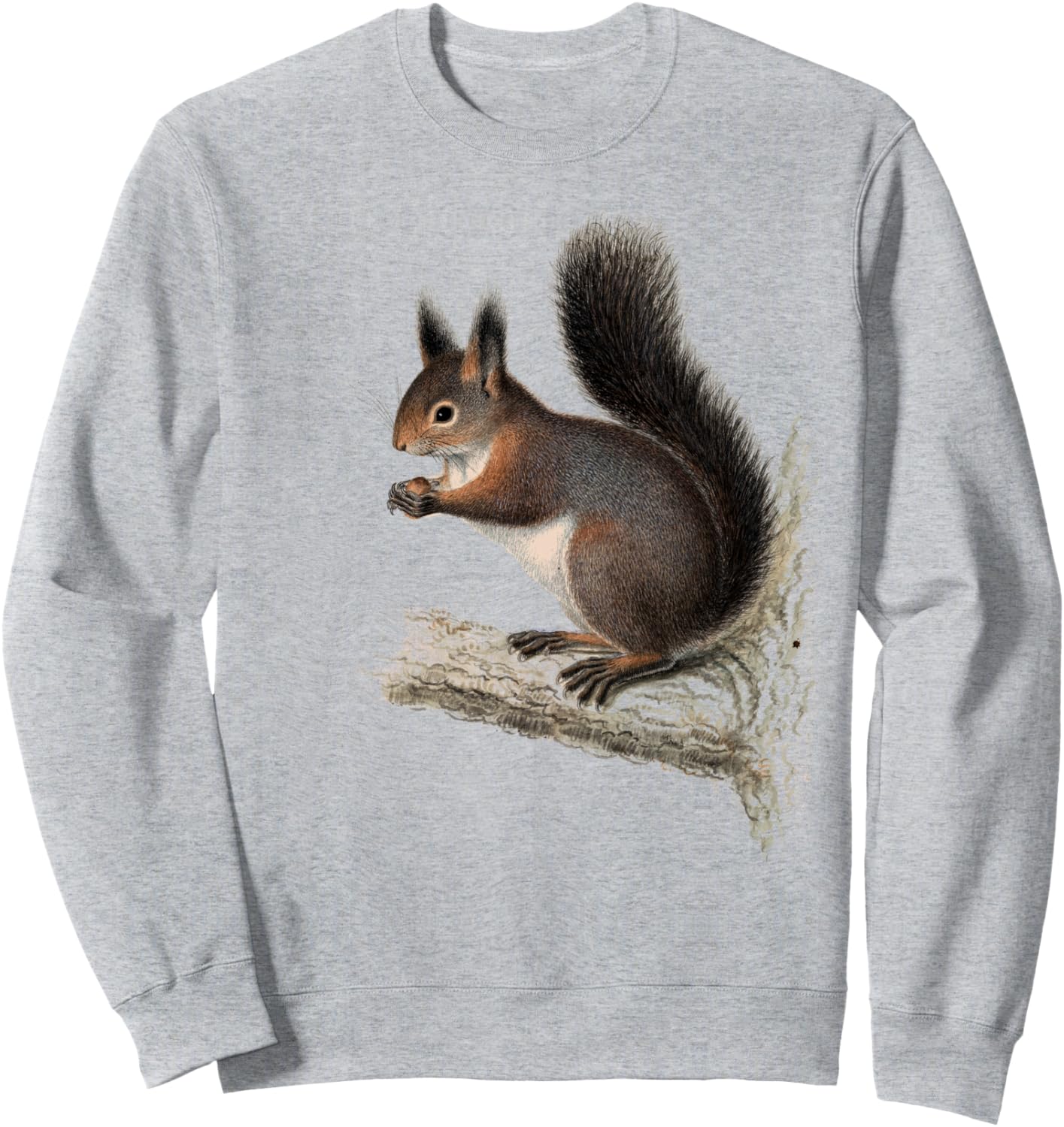 

Толстовка с изображением белки в стиле ретро-винтаж Squirrel Whisperer Lover, серый