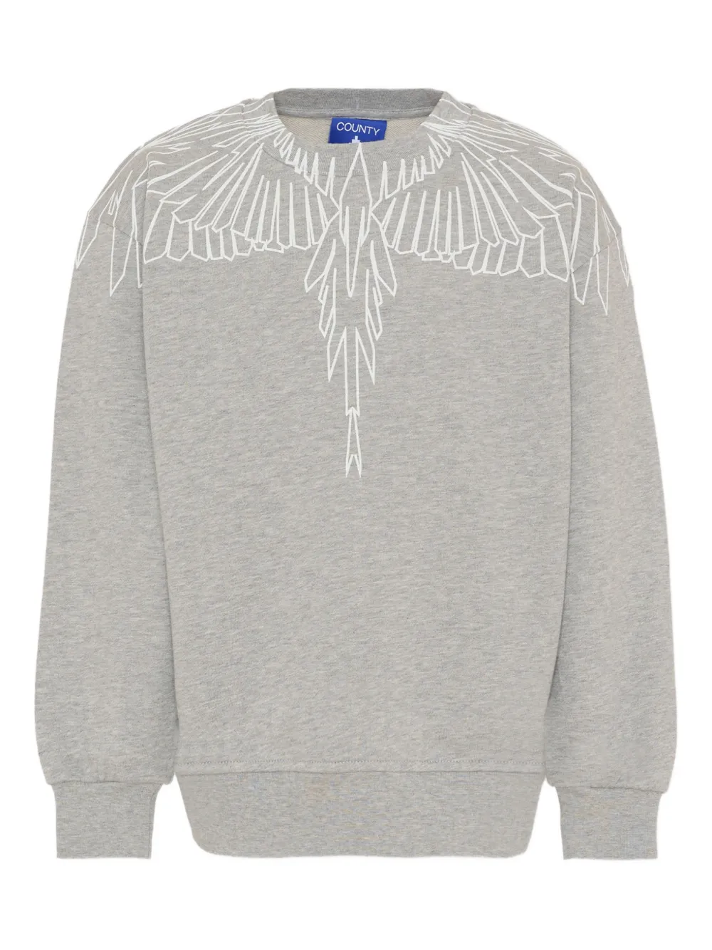 

Толстовка с графичным принтом County Of Milan Kids, серый