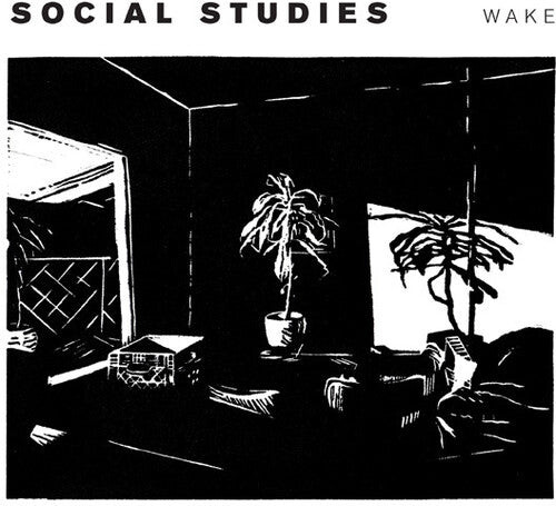 

Виниловая пластинка Social Studies: Wake