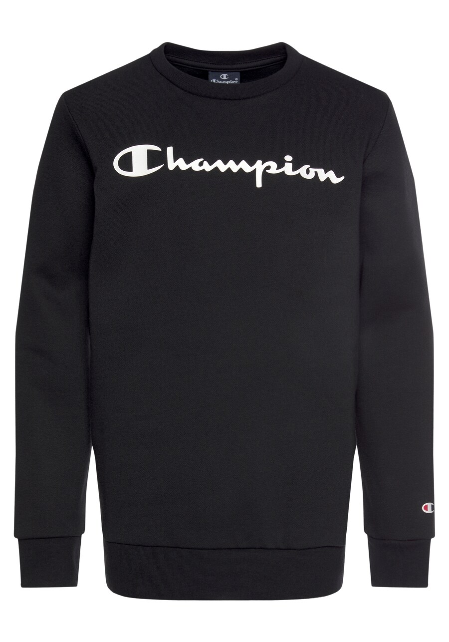 

Толстовка Champion Authentic Athletic Apparel, черный