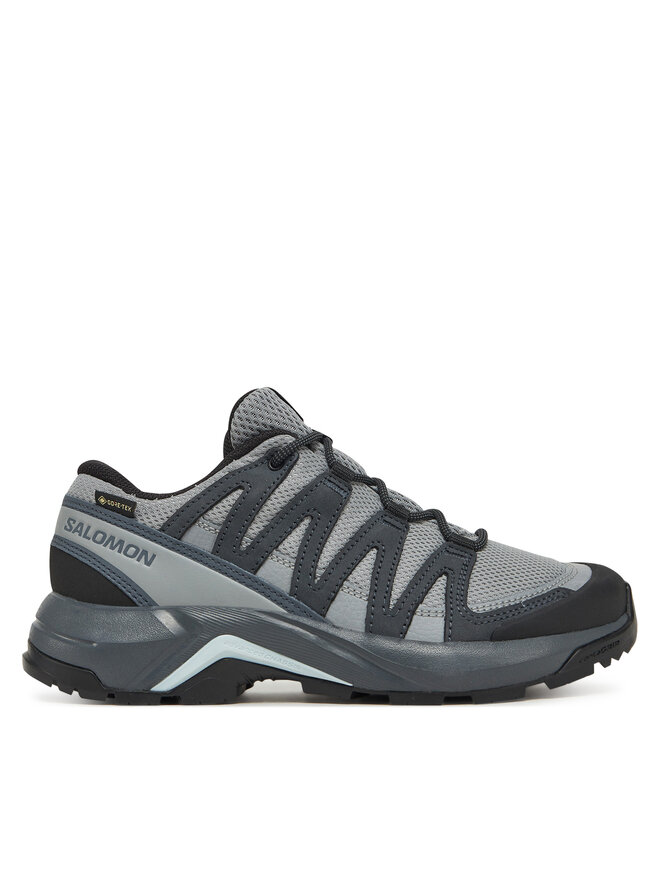 Треккинговые кроссовки X-Adventure Recon Gore Tex L47813300 Salomon, серый
