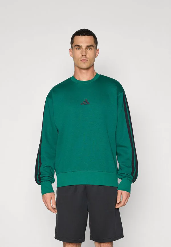

Толстовка Adidas Sportswear, Collegiate Green/Black, Черный, Толстовка Adidas Sportswear, Collegiate Green/Black