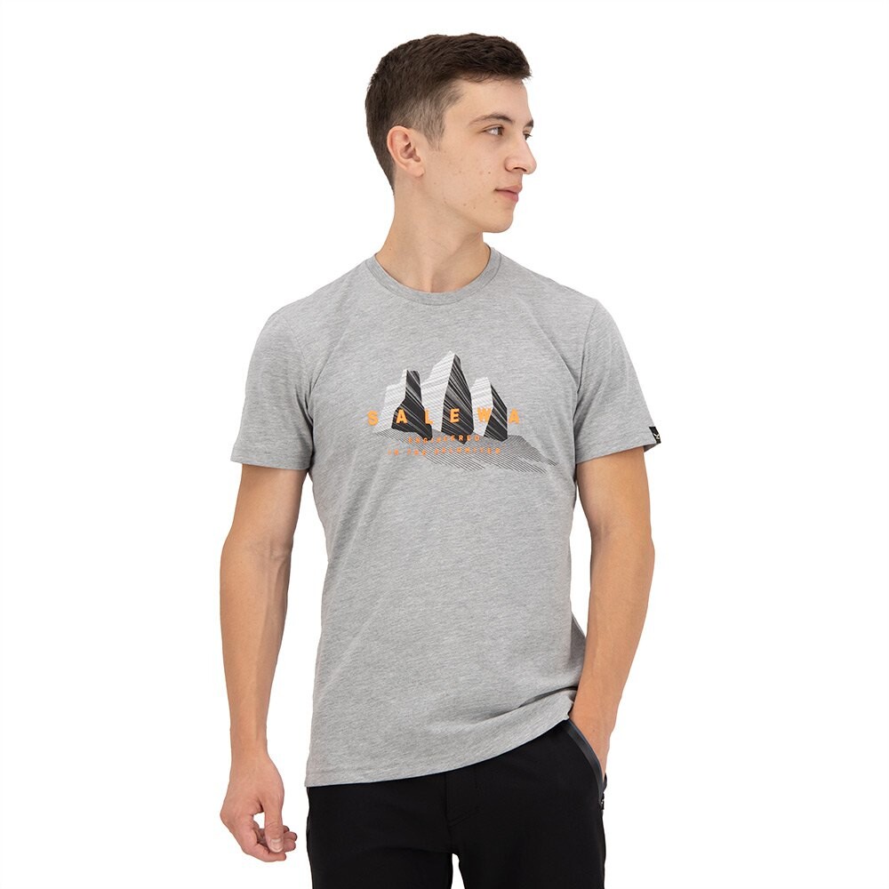 

Футболка с коротким рукавом Salewa Lines Graphic, серый
