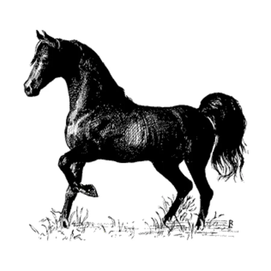 

Статья в Бестиарии — Лошади, Harn - Bestiary Articles