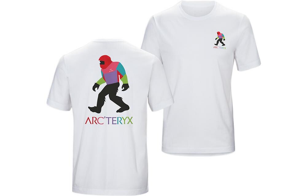 

Футболка Arcteryx Bigfoot Series, черный