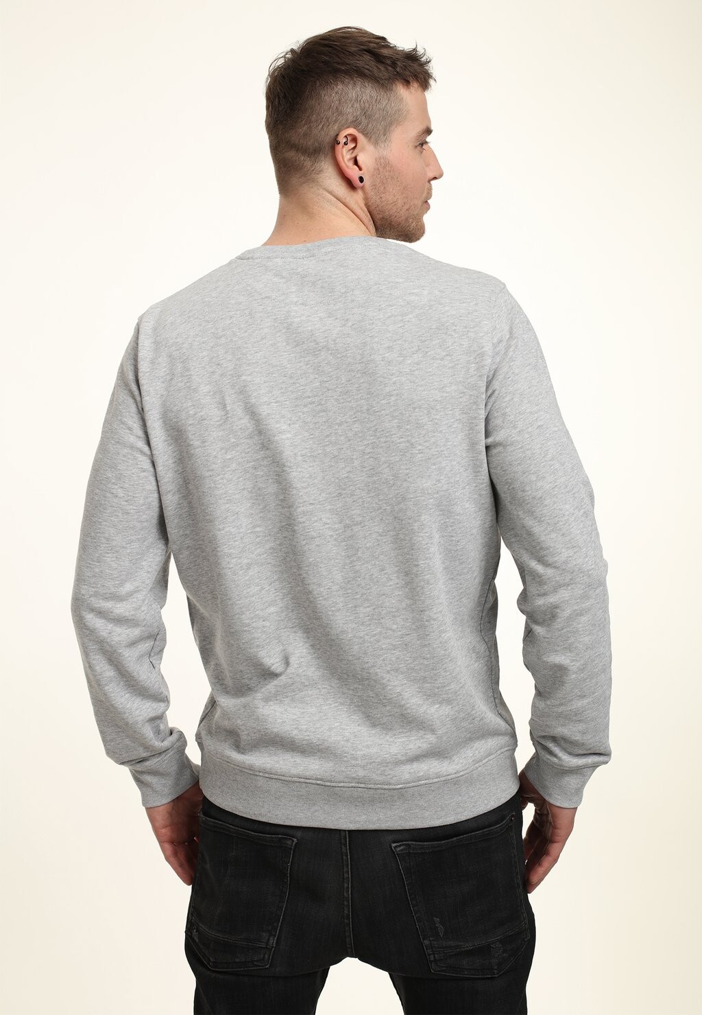 

Толстовка PUSHING Henry Tiger, цвет Mottled Light Grey