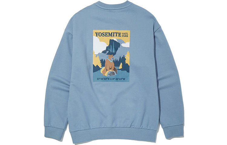 

Толстовка унисекс THE NORTH FACE, цвет Blue