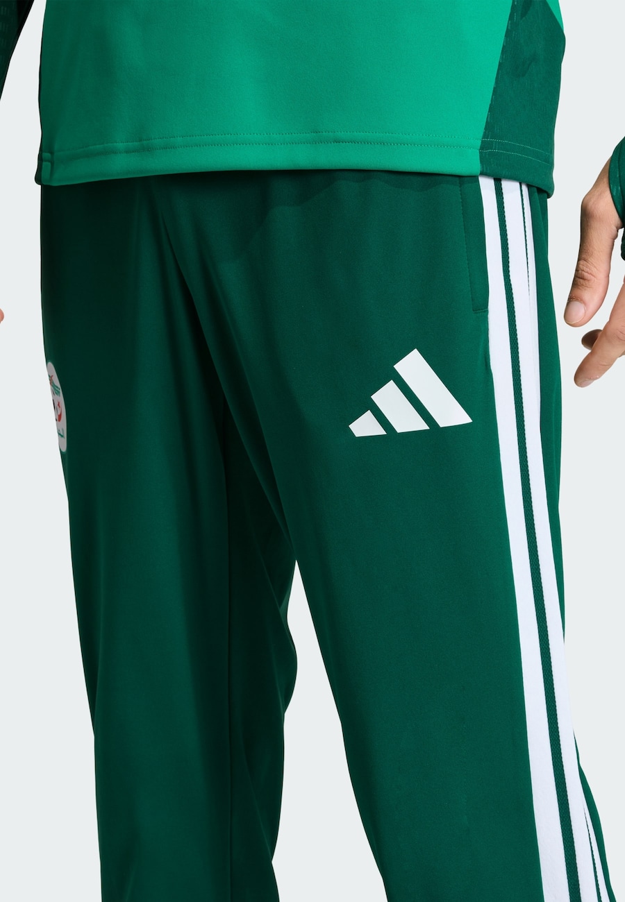 Облегающие спортивные брюки ADIDAS PERFORMANCE Algerien 26, Green/Fir — фото 4