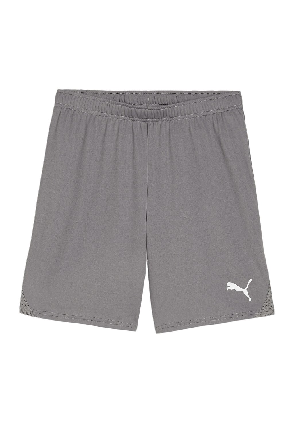 

Спортивные шорты TEAMGOAL Puma, серый