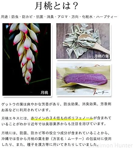 Лосьон для лица Moon Peach Okinawa Turmeric Sales, 10 бутылок по 100 мл — фото 3