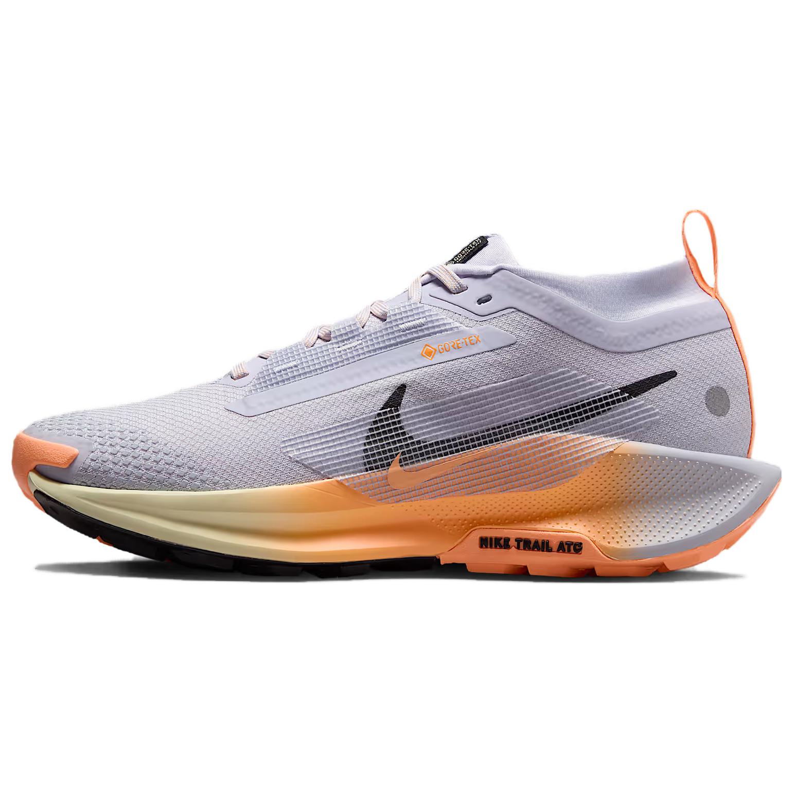 

Женские кроссовки для бега Pegasus Trail 5 Gray Nike, серый