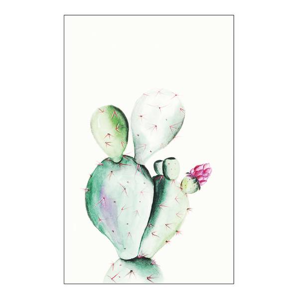 

Фреска Komar Prickly Pear Watercolor, разноцветный