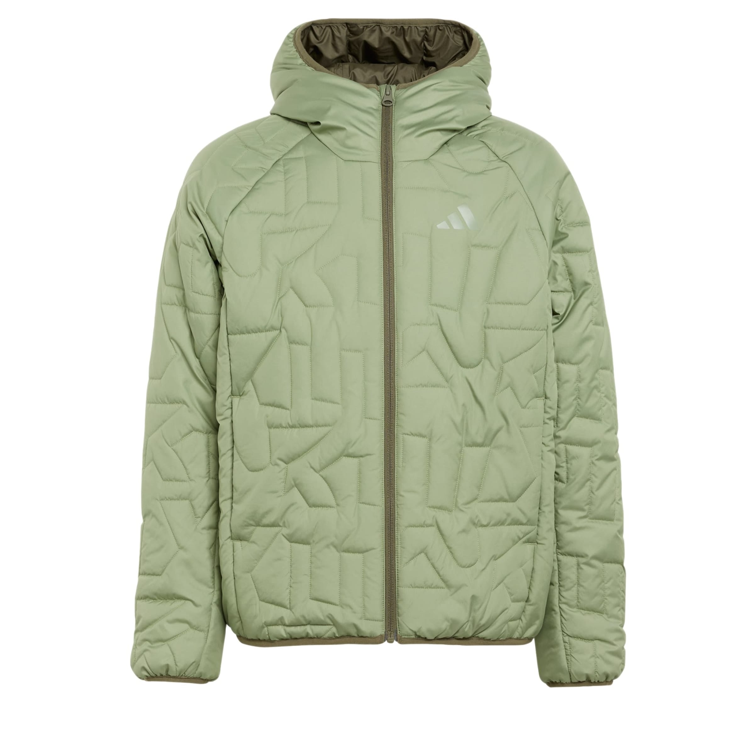 

ADIDAS TERREX Куртка Outdoor 'Xperior' в цвете Pastel Green