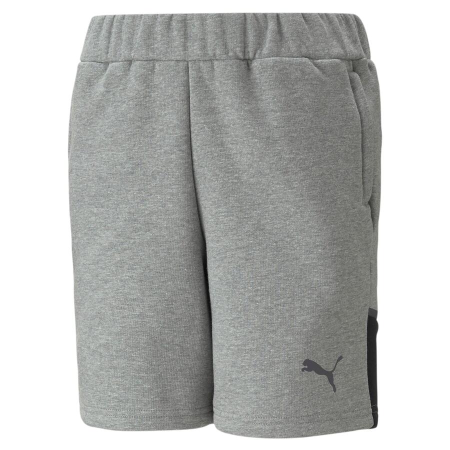 

Детские шорты Puma teamCUP Casuals Shorts Jr 658428