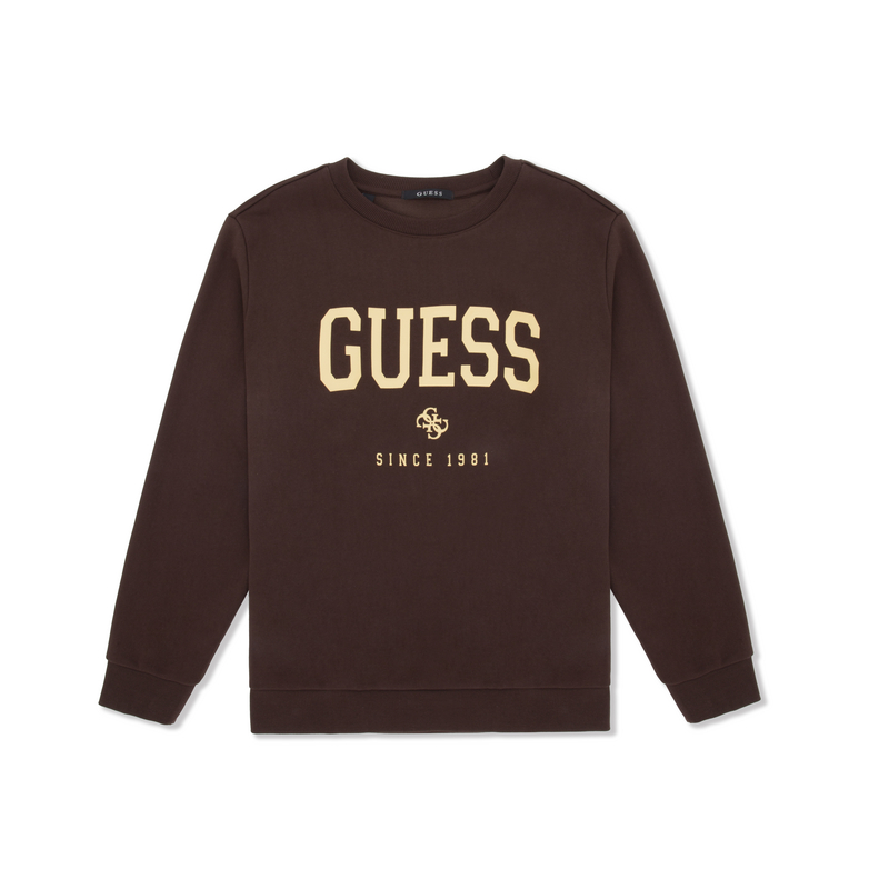 

Свитшоты Unisex Crew Neck Moderate Regular GUESS, brn-коричневый