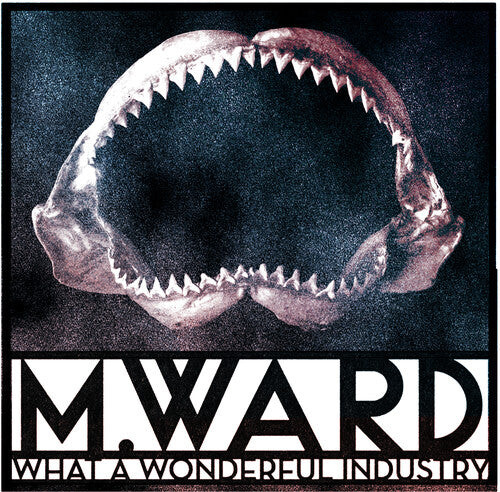 

CD диск Ward, M.: What a Wonderful Industry